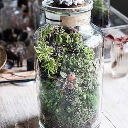 29750058_2022685101304678_7864399658728951946_o