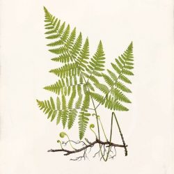 777cd1cf1354d8515b7372d3942b0a14