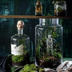 forestforever-alchemia-2